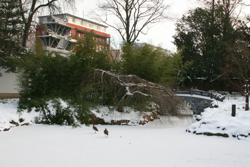 Mit Schnee überdeckter Chinesischer Garten im Bethmannpark Frankfurt