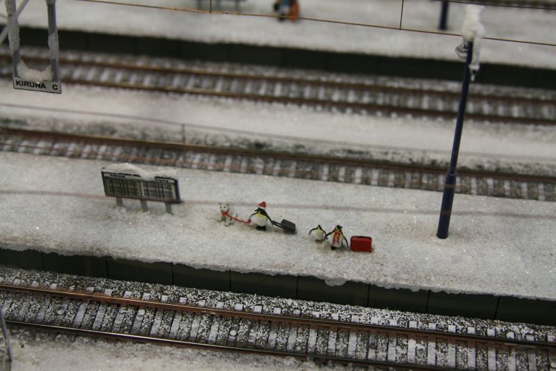 Pinguine auf dem Weg zum Nordpol