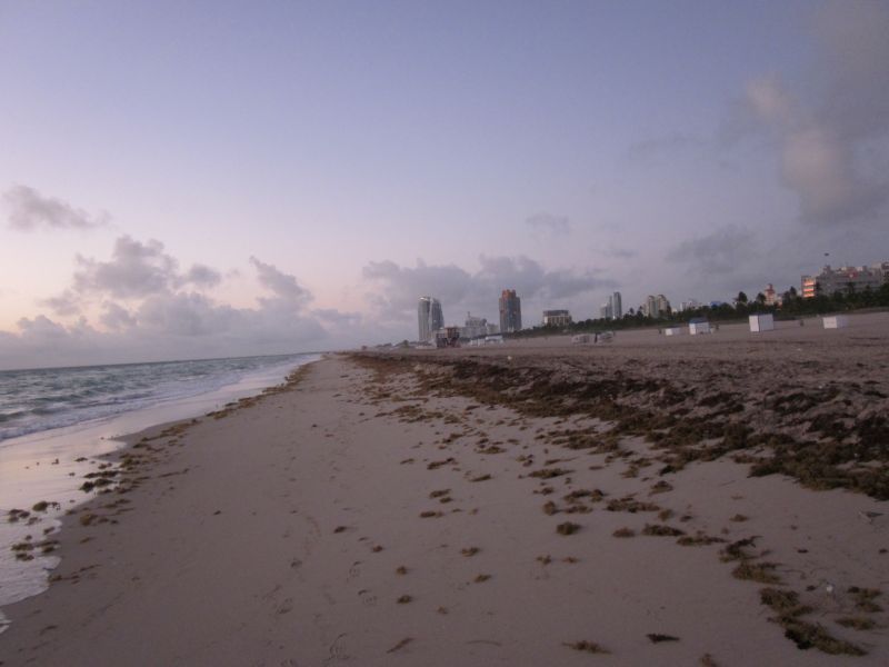 Miami Beach