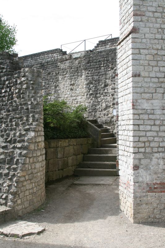 Basilica and Curia