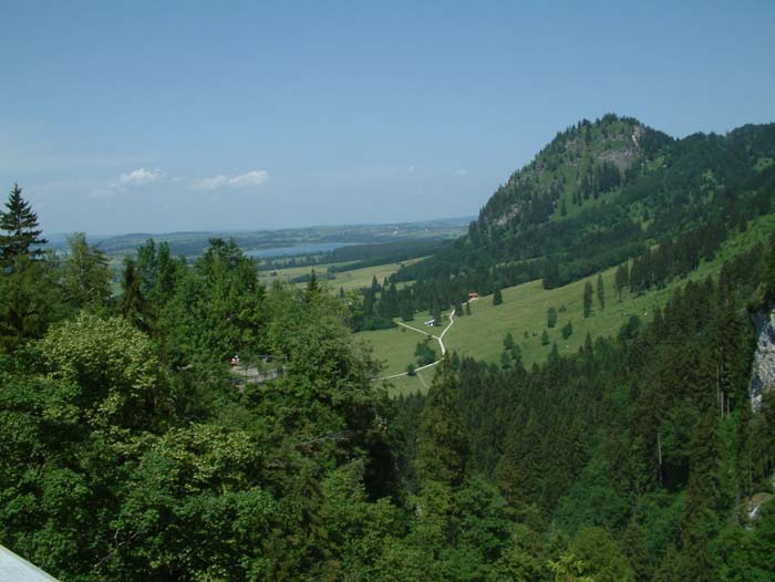 Landsschaft rund um das Schloss Neuschwanstein.