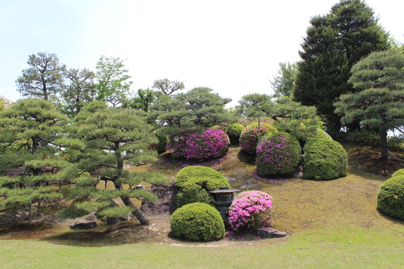 Park inside& Nijō Castle