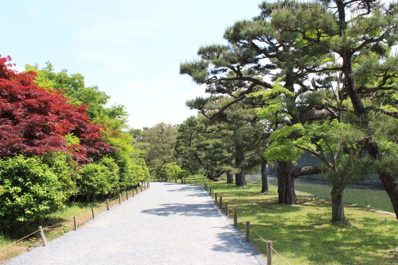 Park inside& Nijō Castle