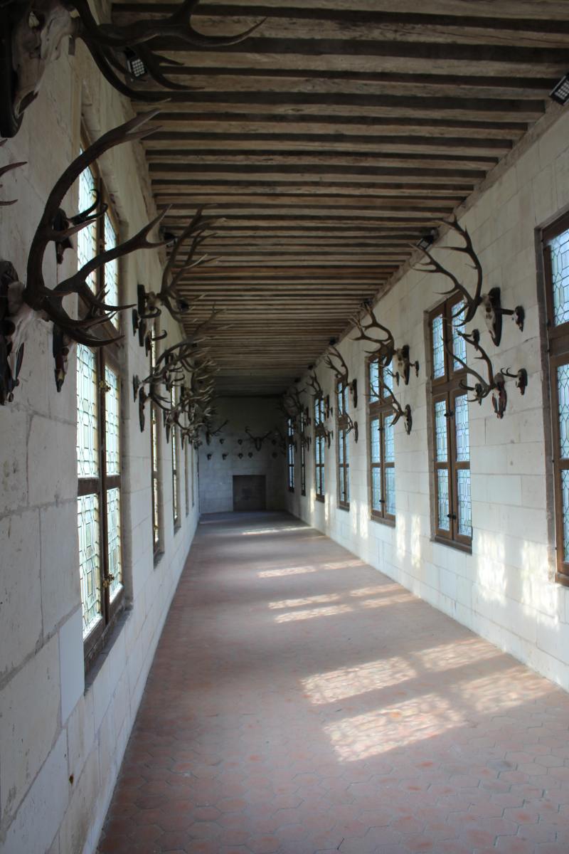 Hunting trophies in the corridor towards the north-western side wing of the palace