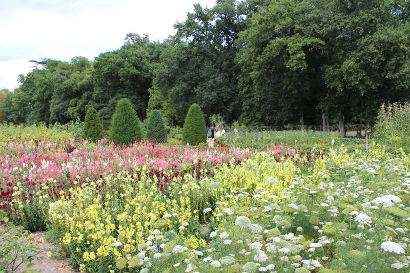 Flower garden used to grow decorations for the palace