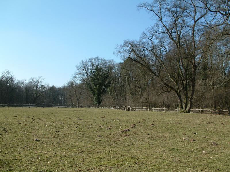 Schönbusch Park