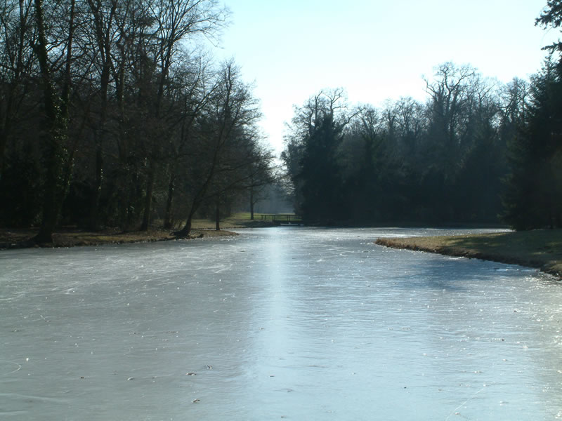 Frozen lake in Schönbusch Park