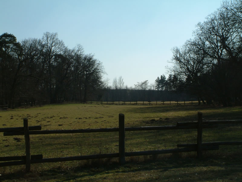 Schönbusch Park