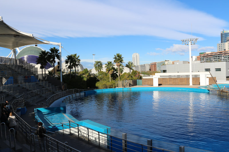 L'Oceanogràfic& dolphinarium