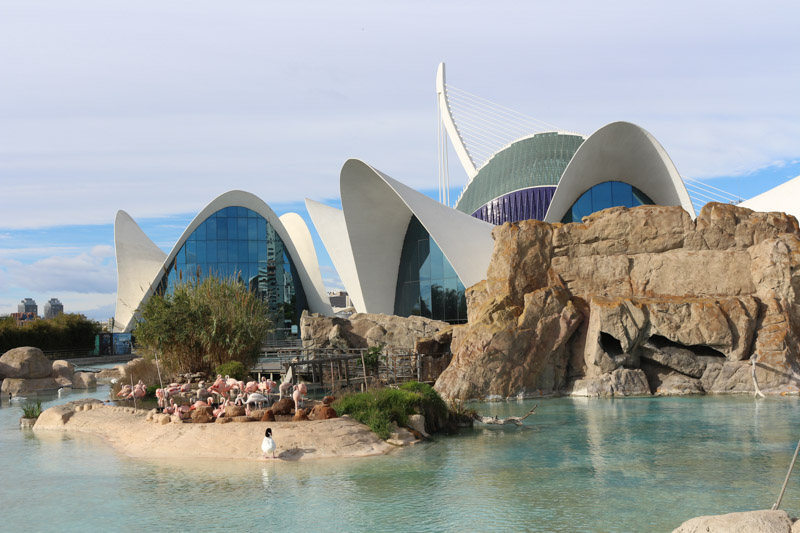 L'Oceanogràfic