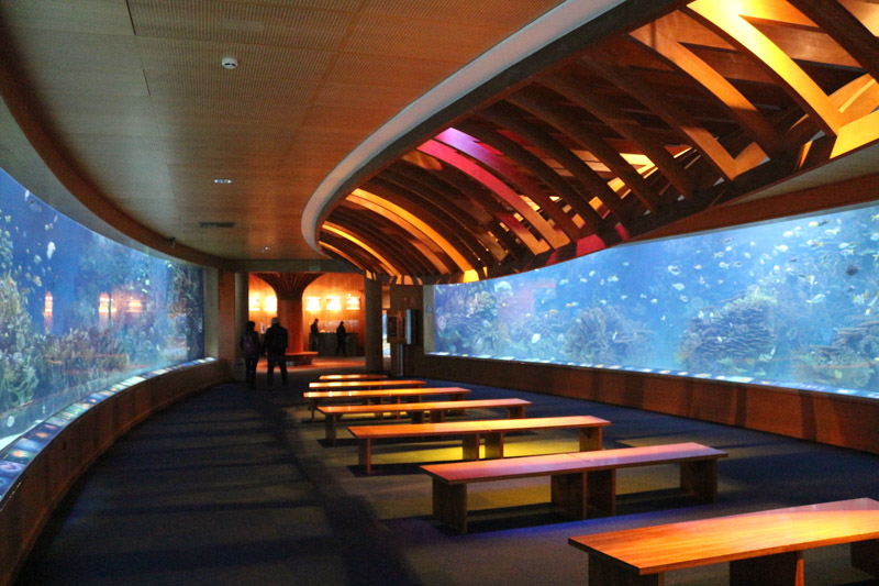 Aquarium in L'Oceanogràfic