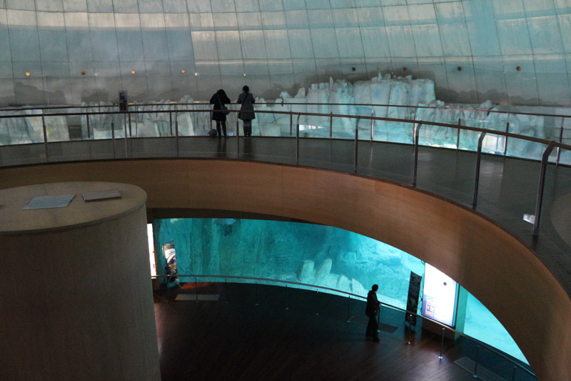 Arctic aquarium of L'Oceanogràfic