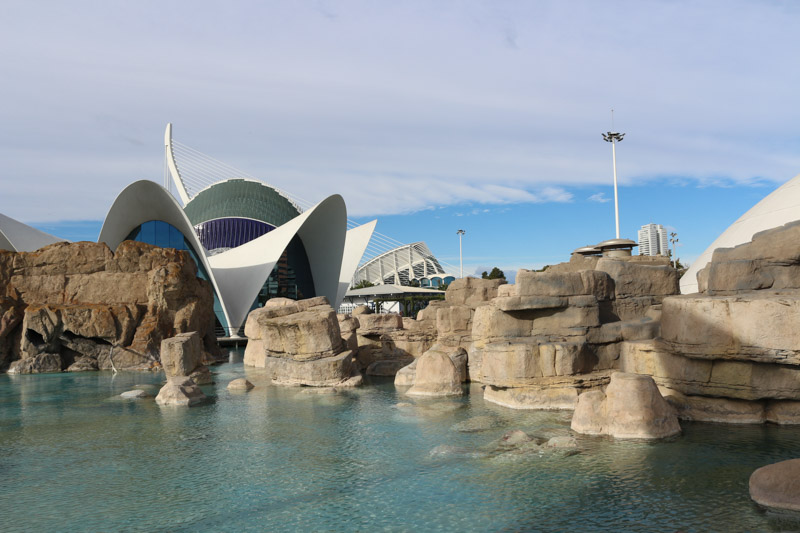 L'Oceanogràfic is& an open-air oceanographic park. It is the largest oceanographic aquarium in Europe with 110,000 square meters and 42 million liters of water. It was built in the shape of a water lily and is the work of architect Félix Candela.