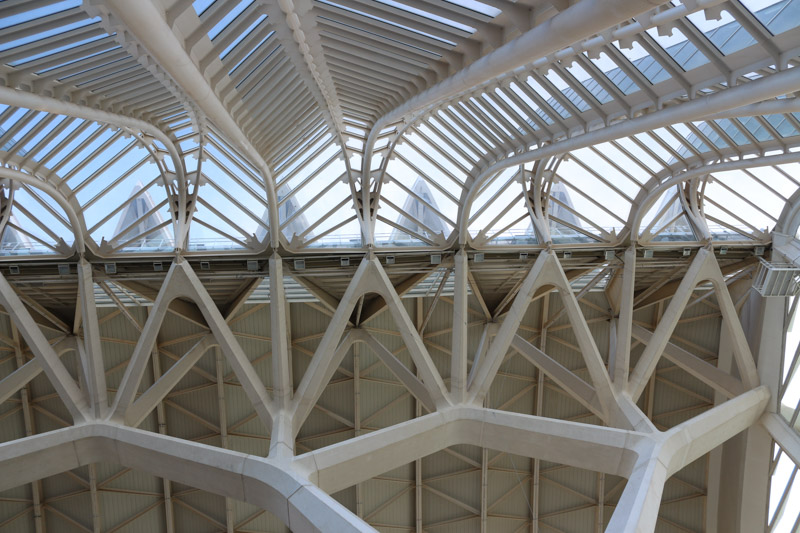 Connection of the window facade with he complex roof of& El Museu de les Ciències Príncipe Felipe