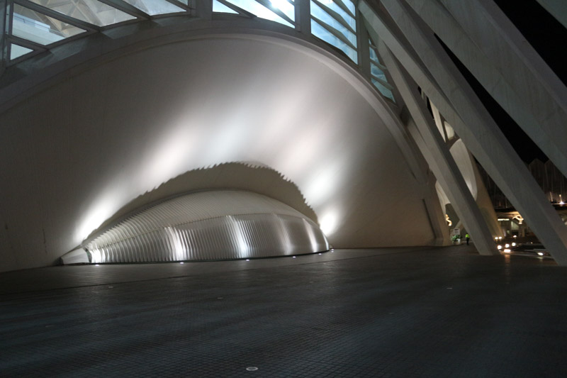 Night view of El Museu de les Ciències Príncipe Felipe