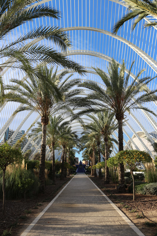 L'Umbracle,& a landscaped walk with plant species indigenous to Valencia (such as rockrose, lentisca, rosemary, lavender, honeysuckle, bougainvillea, palm tree).