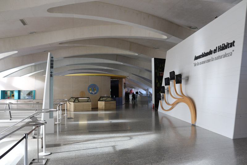Inside of& El Museu de les Ciències Príncipe Felipe