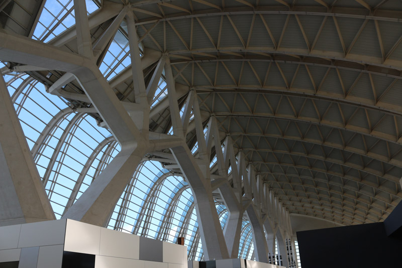 Inside of the roof structure of& El Museu de les Ciències Príncipe Felipe