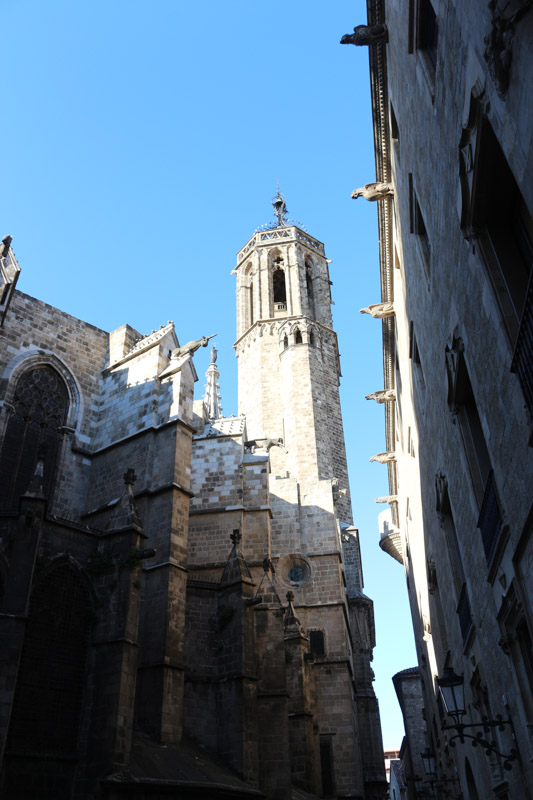 Barcelona Cathedral