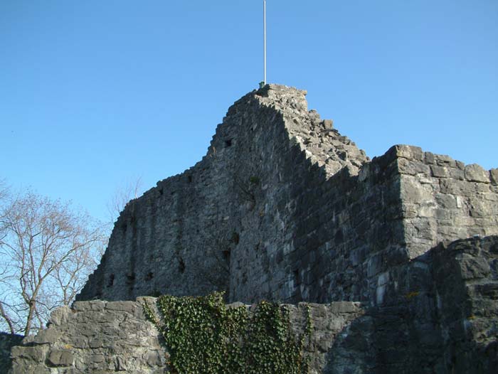 Ruine der Oberen Burg Schellenberg