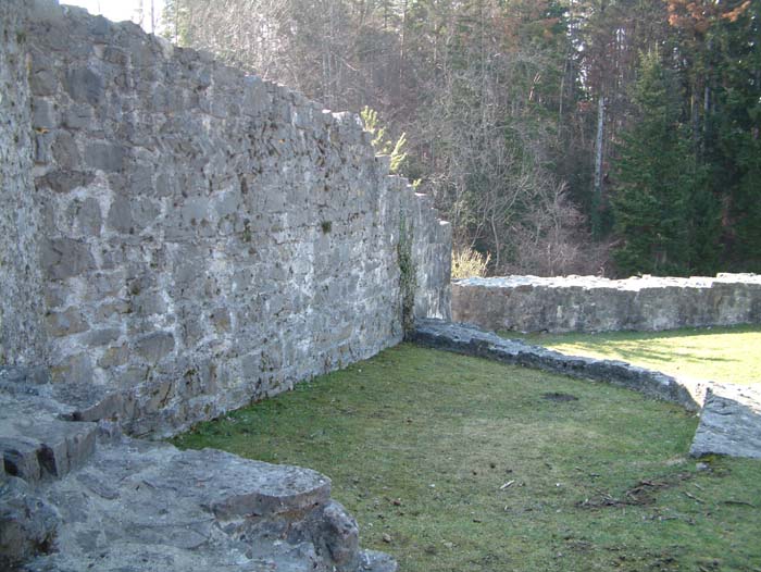 Ruine der Oberen Burg Schellenberg