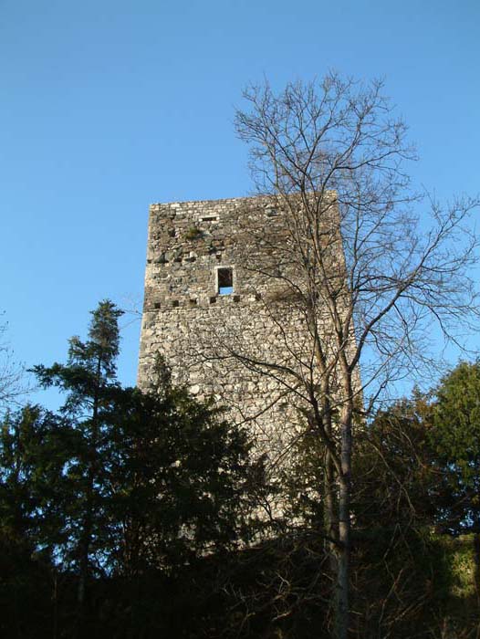Wehrturm der Ruine Tostner Burg