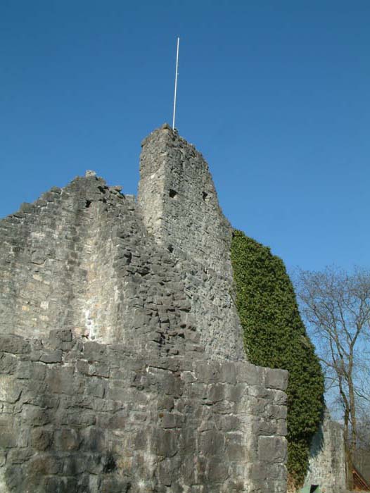 Ruine der Oberen Burg Schellenberg