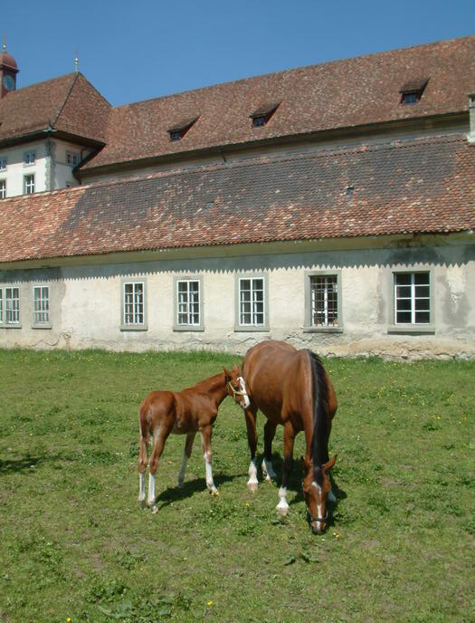 Benedictine Abbey of Einsiedeln