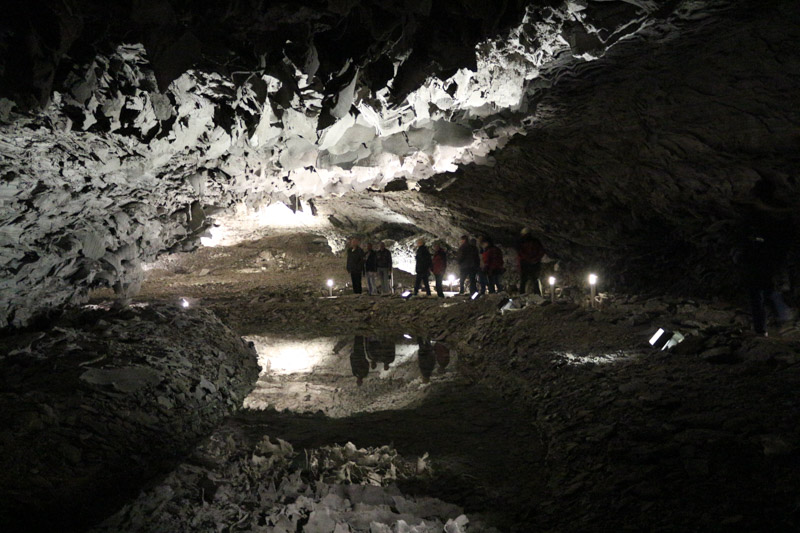 Strange reflection of the alien-like ceiling in the pond below it