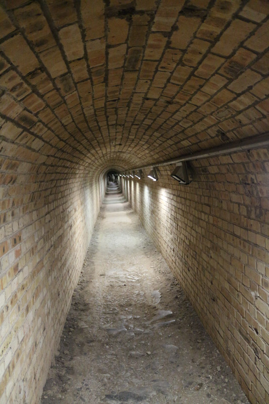 Moderner Tunnel, der vom Eingangsgebäude hinein in die Höhle führt.