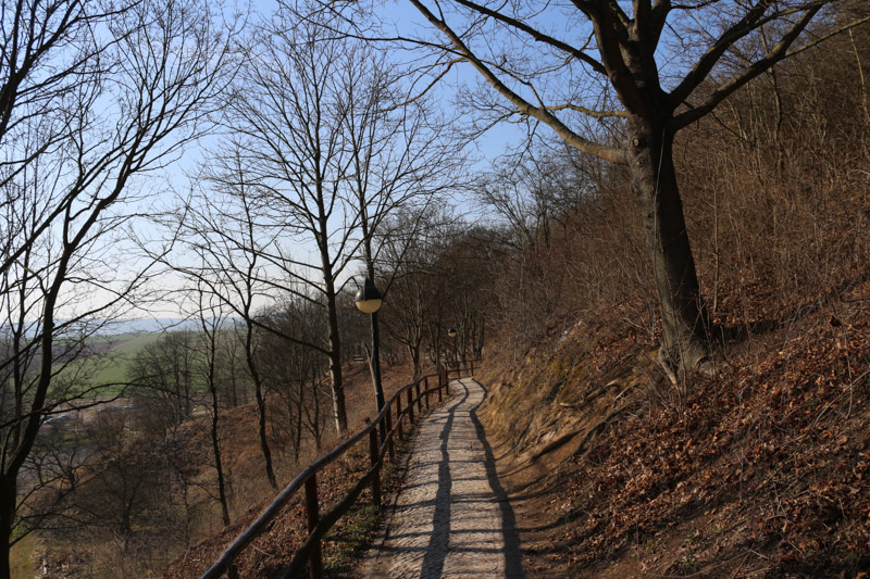 Schmaler Pfad, der vom Ausgang zum Eingangsgebäude der Höhle führt.