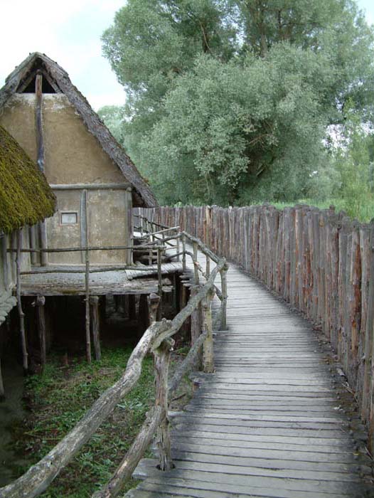 The Stone Age village of "Sipplingen" is protected by palisades