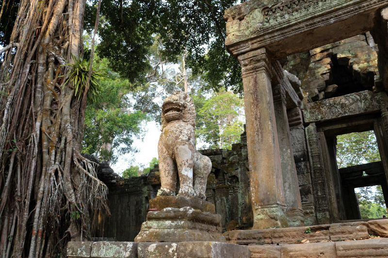 Lion statue