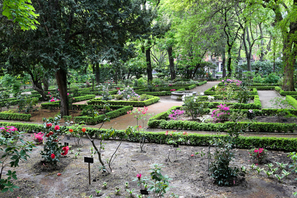 Royal Botanic Gardens (Real Jardín Botánico)