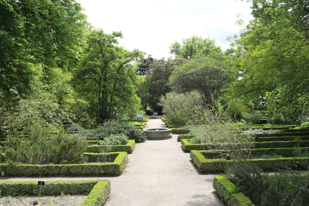 Königliche Botanische Gärten (Real Jardín Botánico)