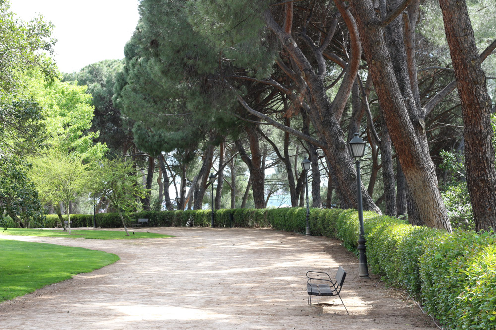 Park around the Temple of Debod