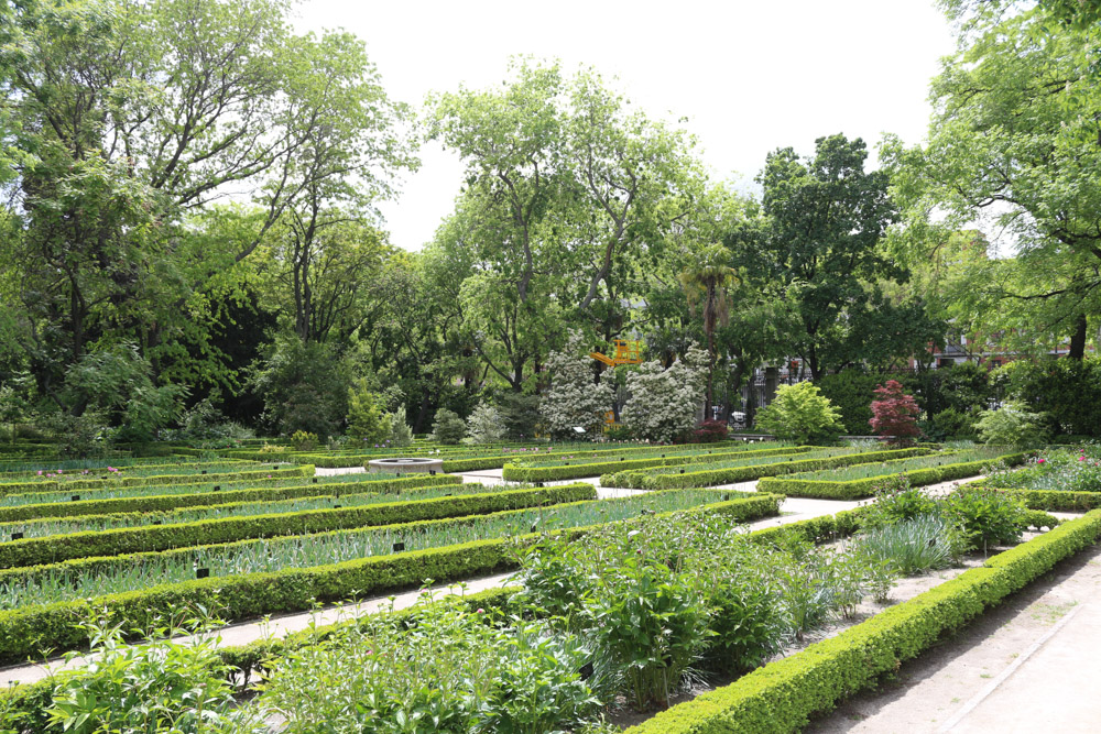Royal Botanic Gardens (Real Jardín Botánico)