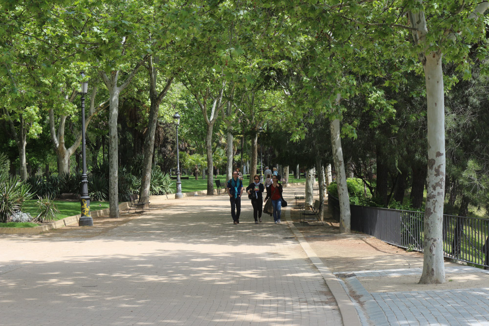 Park around the Temple of Debod