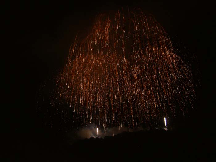 Fireworks on the Liechtenstein national holiday (August, 15)