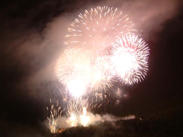 Feuerwerk zu Ehren des Nationalfeiertags in Liechtenstein - dem so genannten Fürstenfest am 15. August. Links sieht man klein das an sich sehr große mittelalterliche Schloss Leichtenstein.