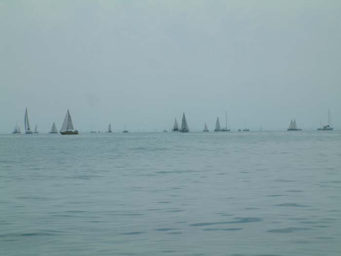 Many sailing boats on the Bodensee (Lake Constance)