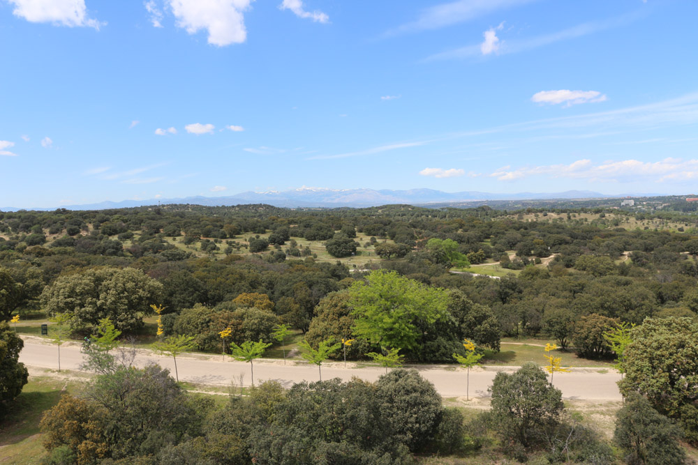 View from Teleférico de Madrid (cable car) over Casa de Campo park