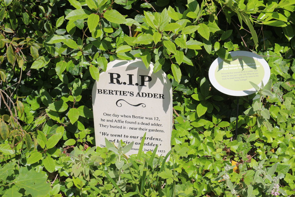 Small grave stone for "Bertie's Adder"