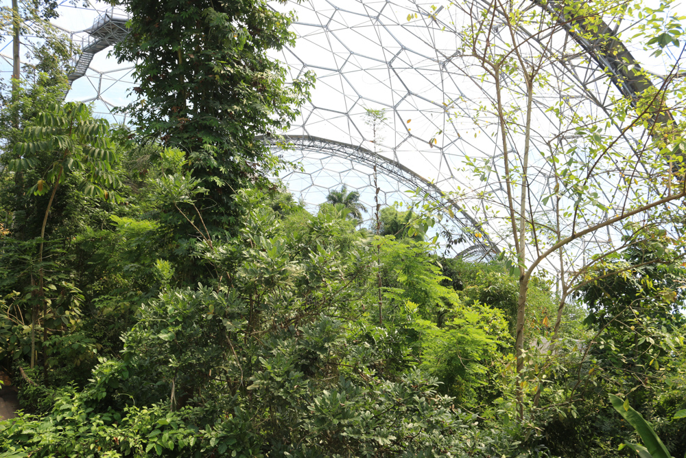Inside the Biome for tropically humid climate zones