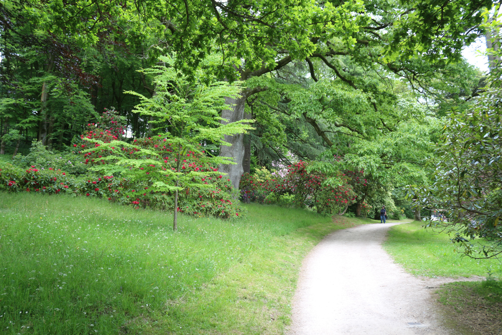 Stourhead Garden