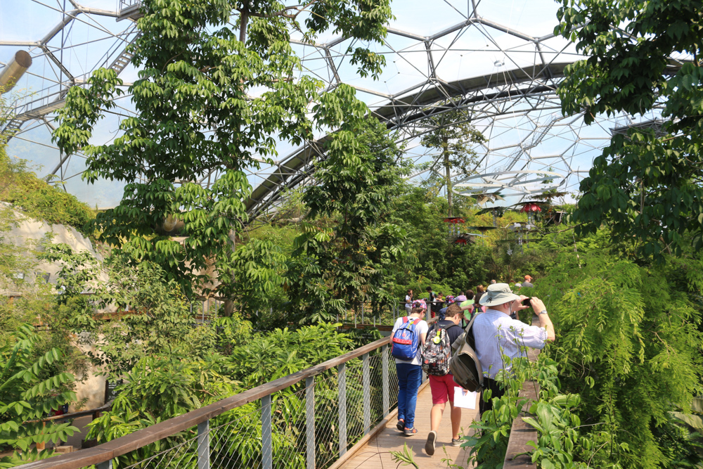 Bridges allow walking through the tree tops in the Biome for tropically humid climate zones