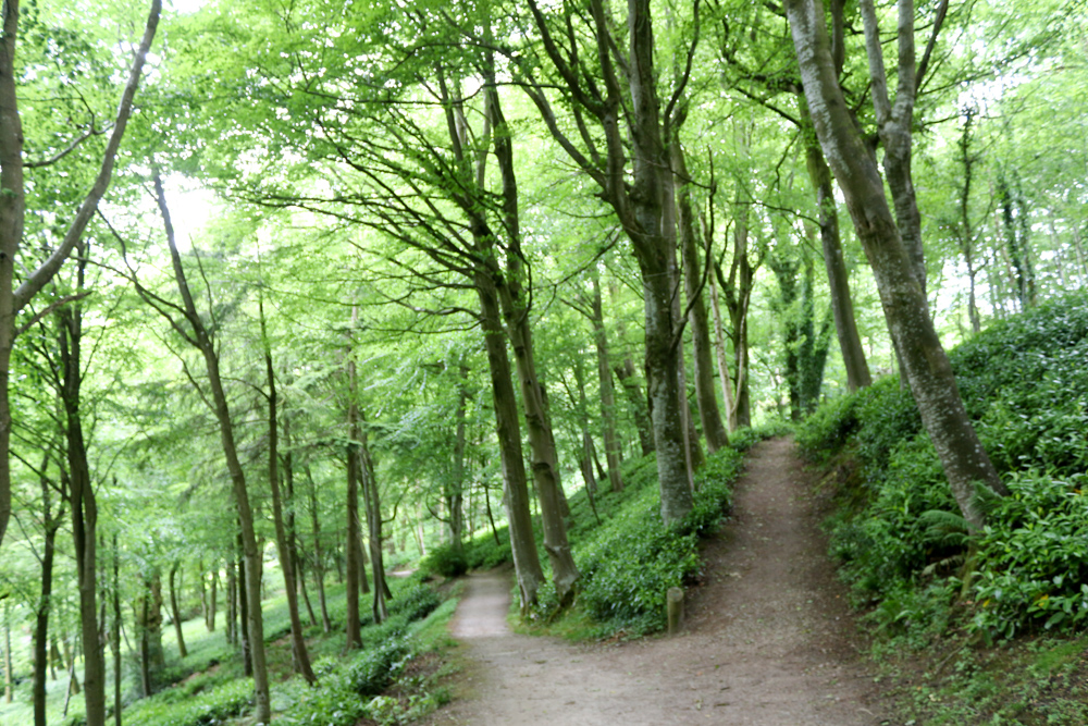 Der Garten von Stourhead