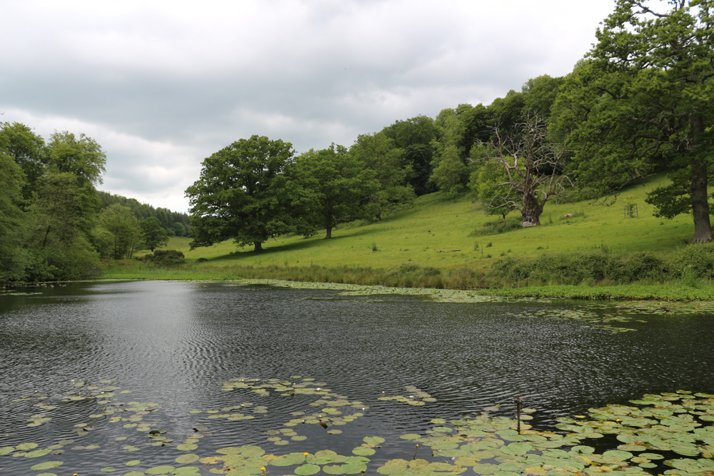 Small pond in the Stourhead Gardens