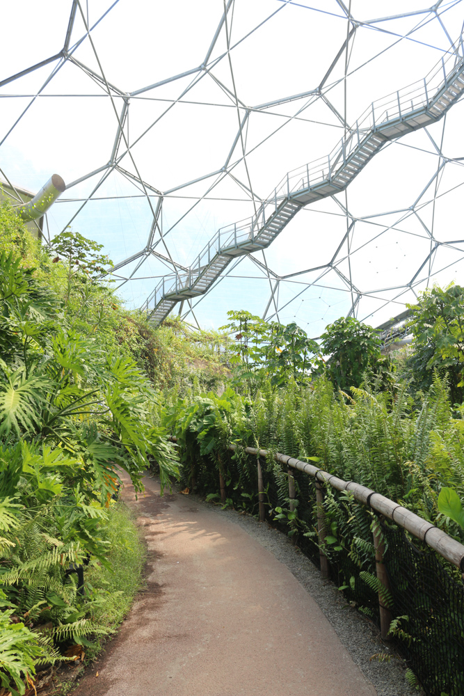 Inside the Biome for tropically humid climate zones