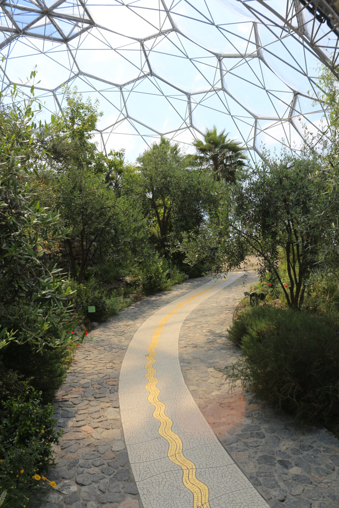 Inside the Biome for subtropic and Mediterranean climate zones